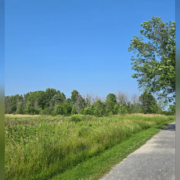 KINGSTON TRIP - Picture 3 of 14